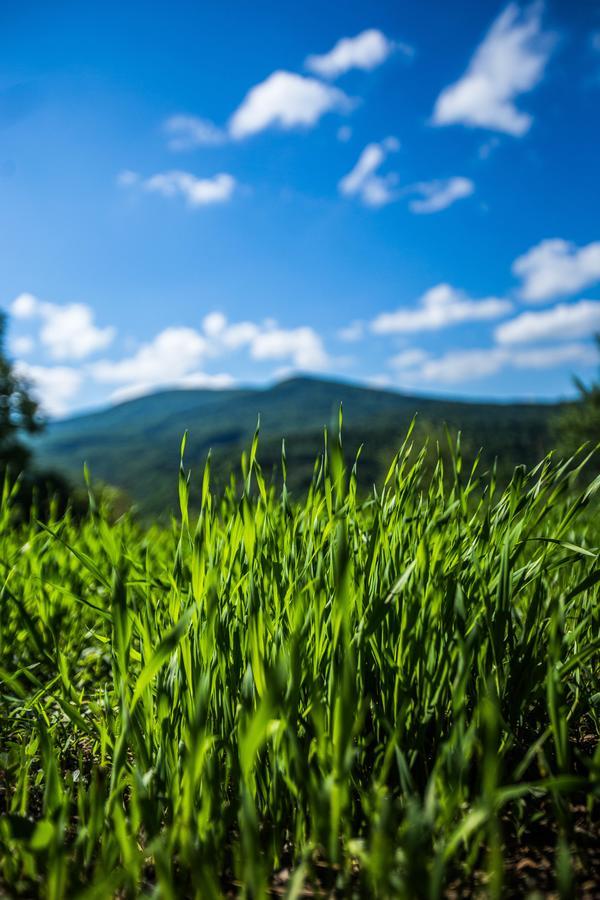 Guest House In Drachino สวาลยาวา ภายนอก รูปภาพ