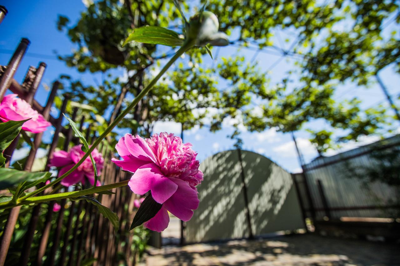Guest House In Drachino สวาลยาวา ภายนอก รูปภาพ