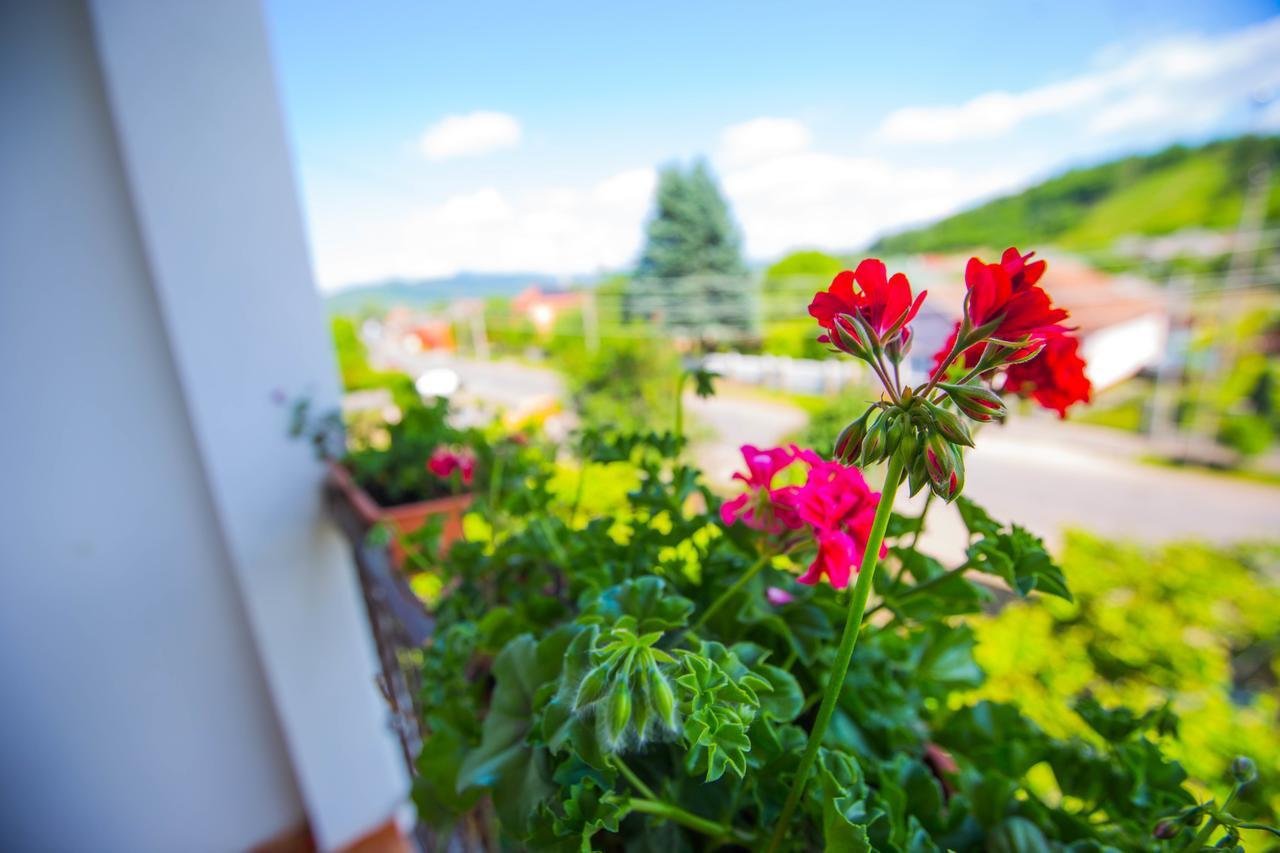Guest House In Drachino สวาลยาวา ภายนอก รูปภาพ